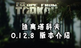 塔科夫最新爆料,揭秘游戏最新动态与未来展望