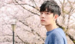 肖战最新爆料热门事件,揭秘娱乐圈背后惊人真相！