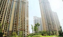 芜湖龙凤佳苑最新爆料,揭秘神秘项目背后的真相