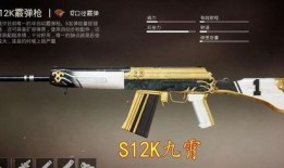 吃鸡最新枪皮爆料,神秘爆料抢先看